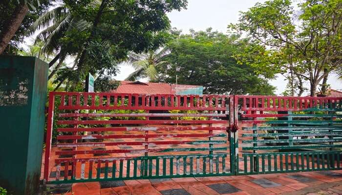 Explore Kadalundi Bird Sanctuary, which is among the best things to do in Calicut.