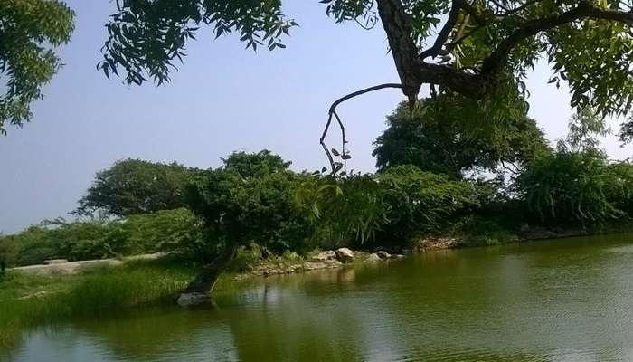  Gopi Talab in Gujarat