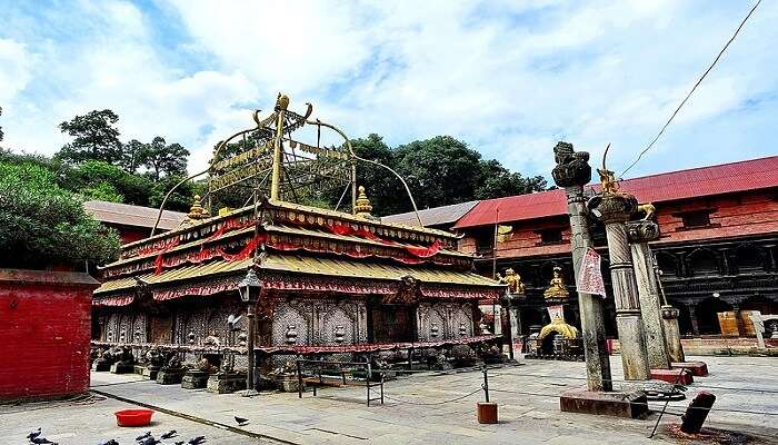 Guhyeshwari Temple Blissful view