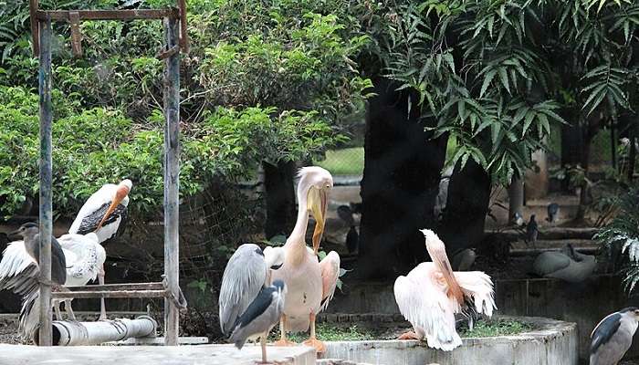  Guindy National Park which is also among the most romantic places in Chennai