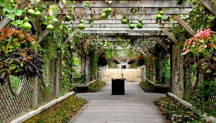 Hnaging Garden - One of the 7 wonders of the world