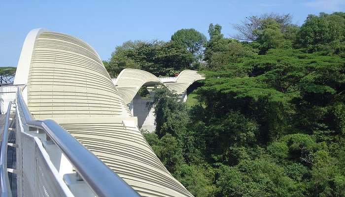 Henderson Waves Bridge