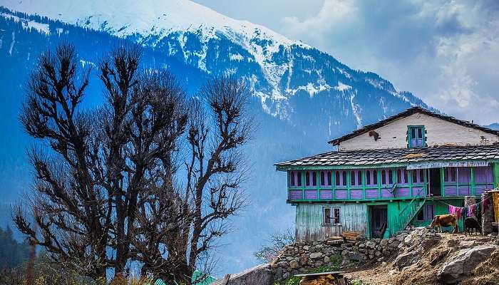 Himachal Pradesh, places to visit in winter in India