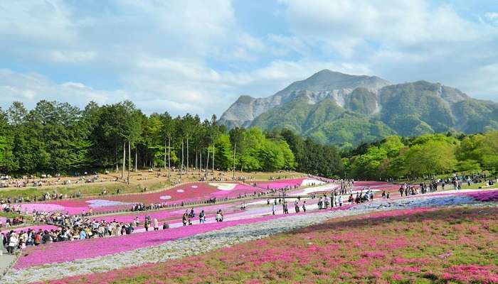 Hitsujiyama Park is among the best places to visit in Japan