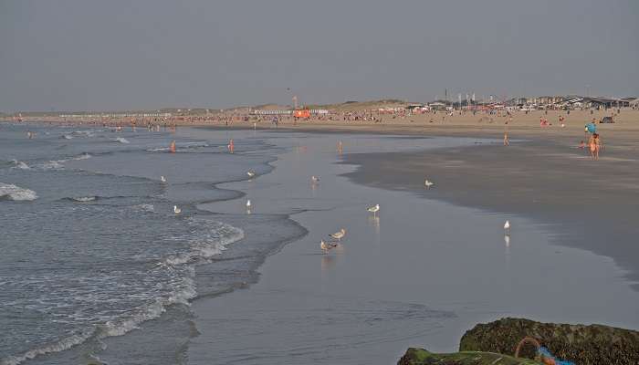 One of the many lovely beaches in Netherlands 