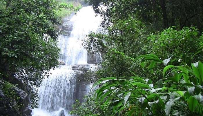 Honey Valley is just like its name, naturally sweet, delicious to get a taste of; one of the best places to visit in Coorg in July.