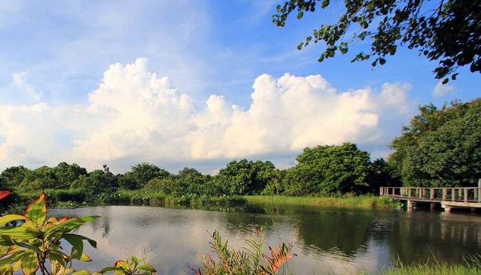 Hong Kong Wetland Park