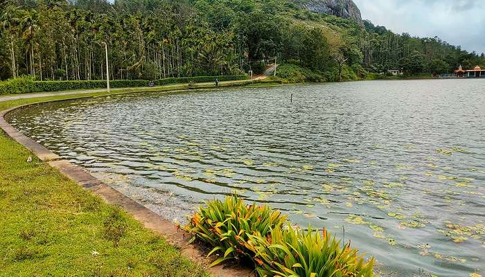 Honnamana Kere Lake, Things To Do In coorg