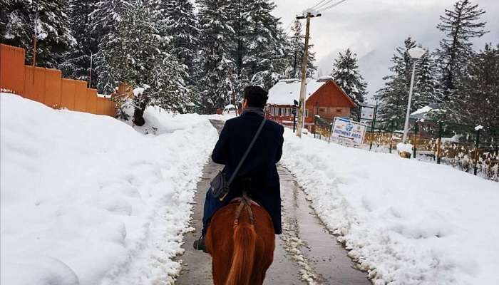  Horse Riding In Gulmarg