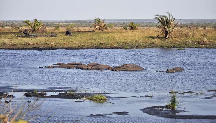 iSimangaliso Wetland Park, places to visit in south africa with kids