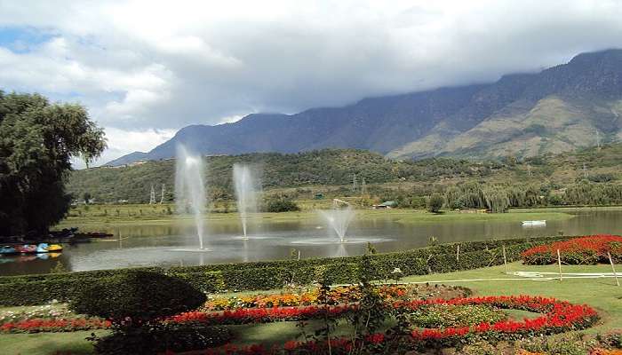 Jawaharlal Nehru Botanical Garden