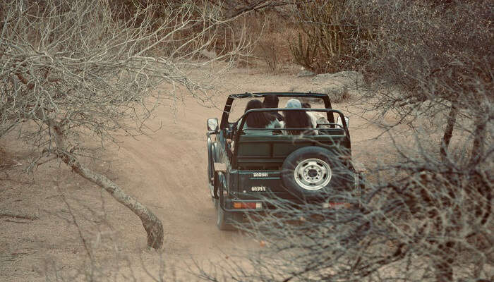 An image of a jeep safari in Kolukkumalai
