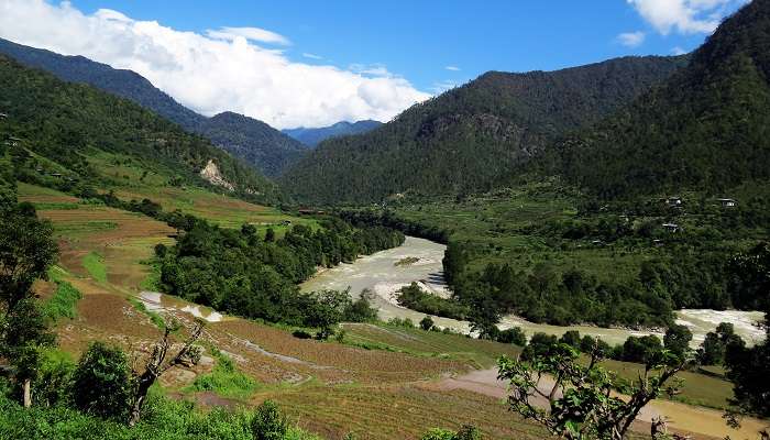 Explore wildlife sanctuary are among the best things to do in Bhutan