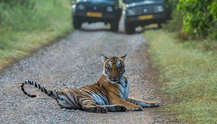 Jim Corbett National Park