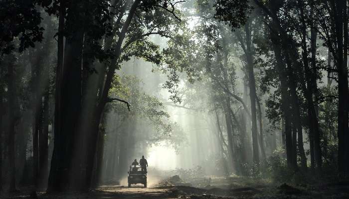 Jim Corbett, places to visit near Delhi