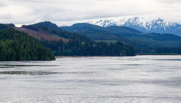 Johnstone Strait delightful view