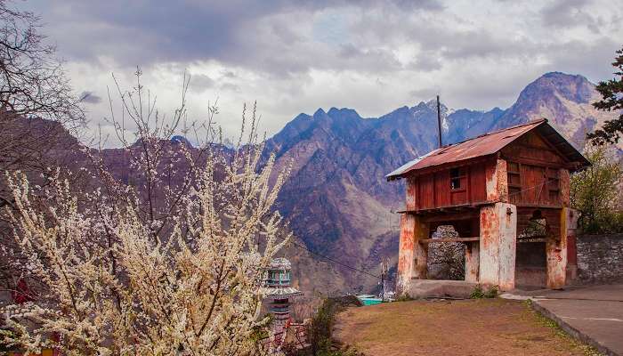 Joshimath near auli in june month