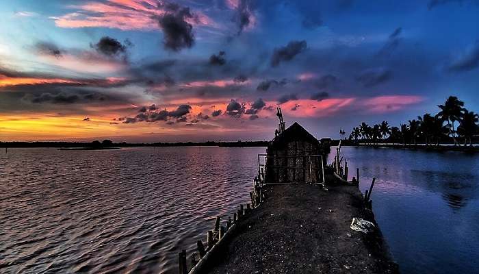 Witness the Scenic view.