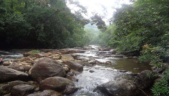 Natural beauty of the Kallar River
