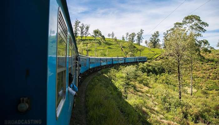 The mesmerizing train ride from Kandy to Ella crossing tea plantation