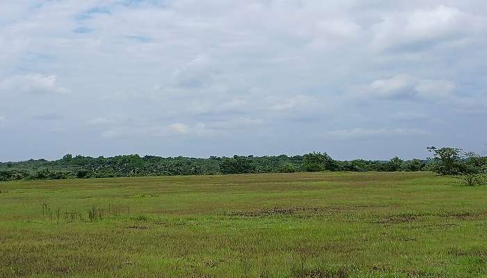 Oradipara, Kannur, Kerala