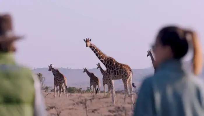 Kenya is the best place for honeymoon in October