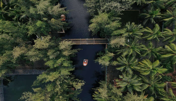 Kerala vs Andaman—traditional boat navigating lush green Kerala backwaters