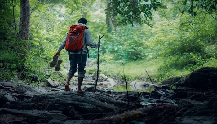 Kerala vs Andaman, adventurous traveller overlooking natural landscapes