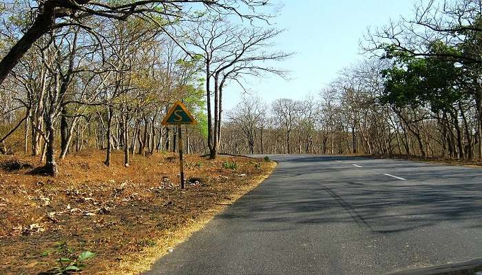 Views on the road trip from Kerala to Bandipur National Park.