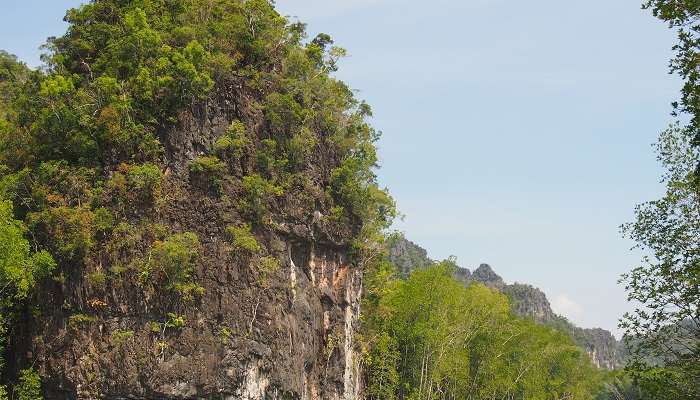 Visiting Kilm Geoforest park is among the best things to do in Malaysia