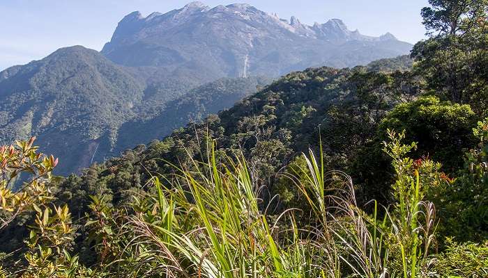 Kinabalu