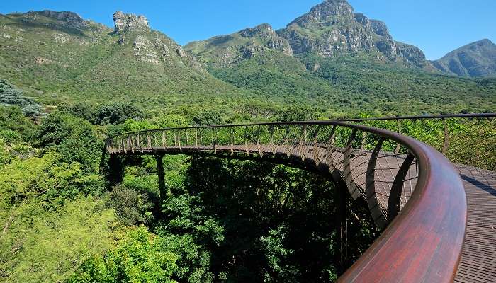 Kirstenbosch Botanical Garden