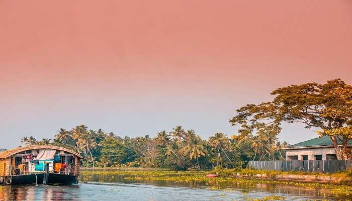A boat in the backwaters of Alleppey