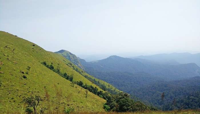 Kodachadri Hills