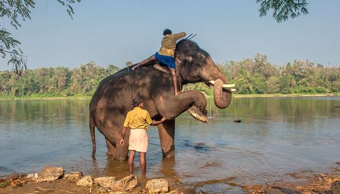 Visit Kodanad in kerala