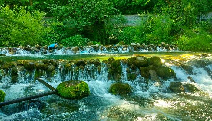 A blissful view of Kokernag, one of the best places to visit near Srinagar