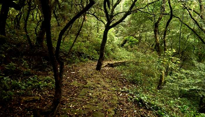 Kolli Hills