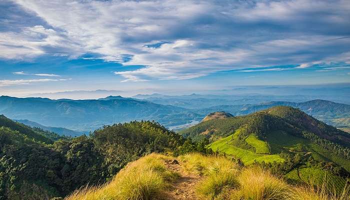 Kolukkumalai