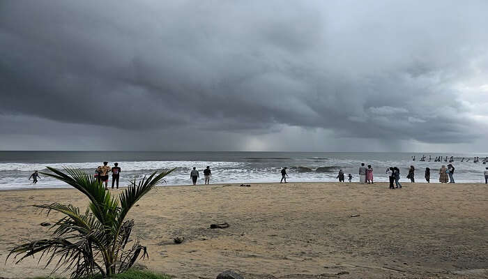  Kozhikode and Kannur beach resorts in Kerala