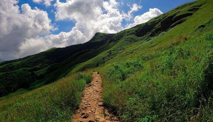 Kudremukh National Park, National Parks Near Bangalore