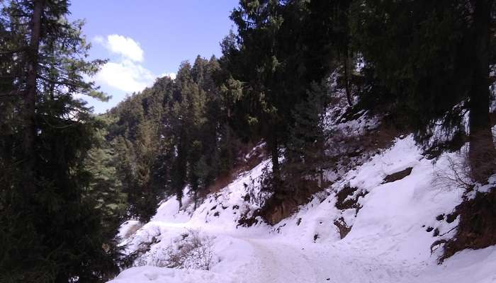 Kufri- Best hill stations in Himachal