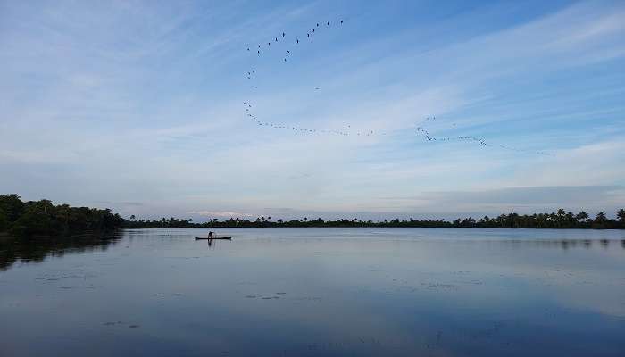 Kumarakom’s surreal beauty in August