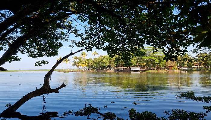 An image of the most beautiful backwaters of Kerala 
