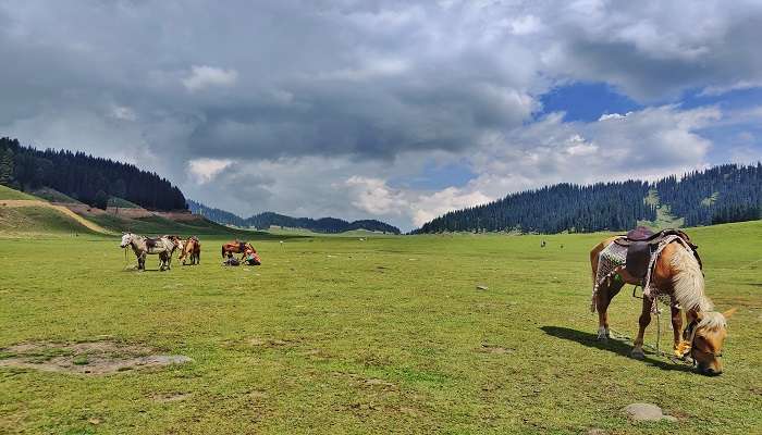 कुपवाड़ा, कश्मीर में घूमने के लिए सर्वोत्तम स्थानों में से एक है।