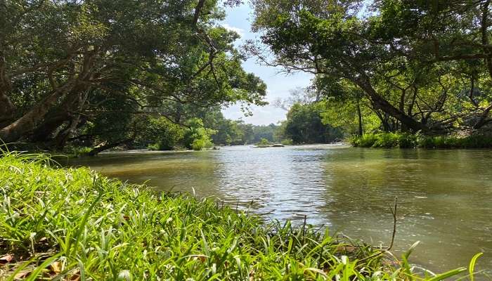 An image of the serene Kuruva Island near Wayanad in December