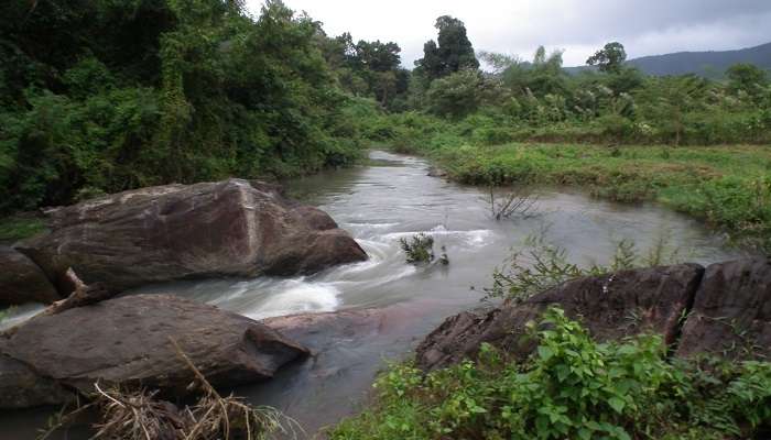 One of the best places to visit in Coorg in July, and a surefire choice to include on your karnataka trip.