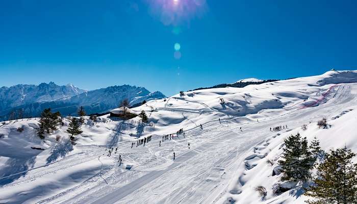 A majestic view of Kwani Bugyal, one of the best places to visit in Auli in summer