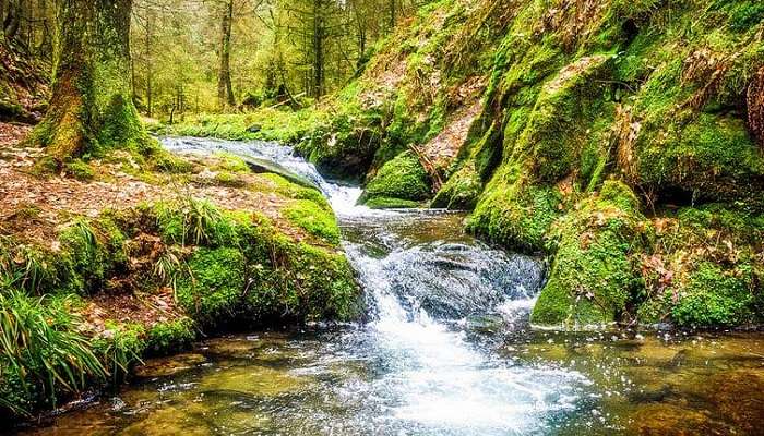 Law’s Falls waterfalls, places to visit in Ooty