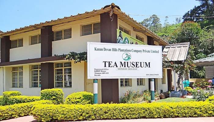 Things to do in Munnar- Visit Tea Museum