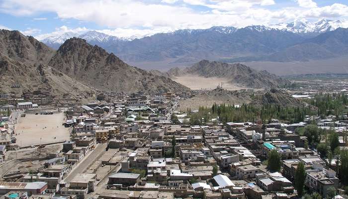 An amusing view of Leh Ladakh